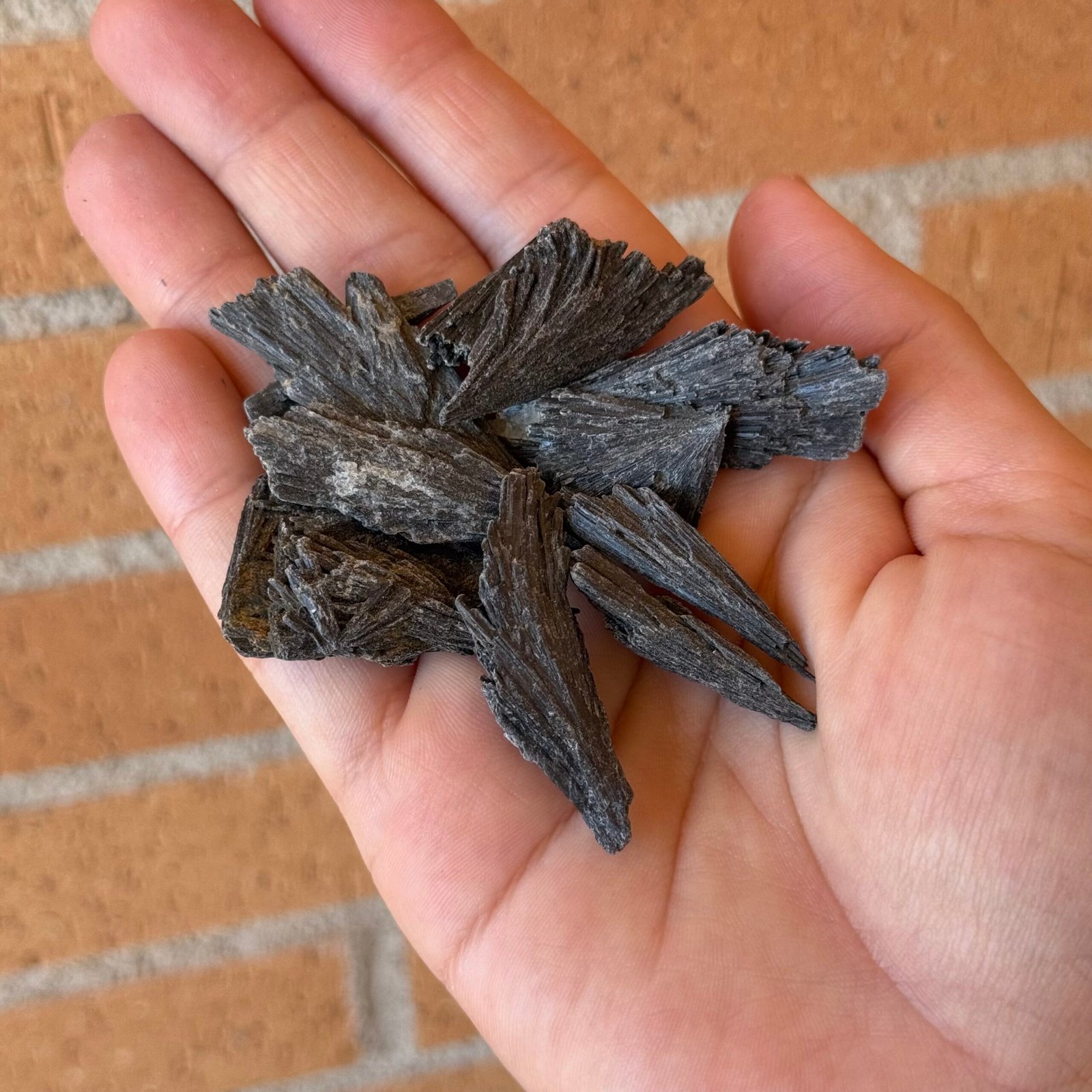 Taramita / Cianita negra (Escoba de bruja)